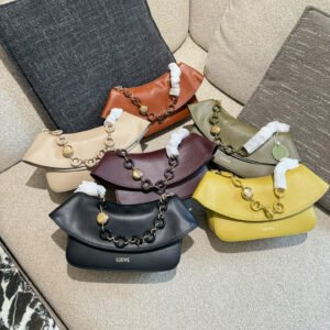 oLOEWEo Bags 0096