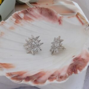 oVWo Earrings 0307